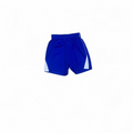 Challenger Teamwear Shorts